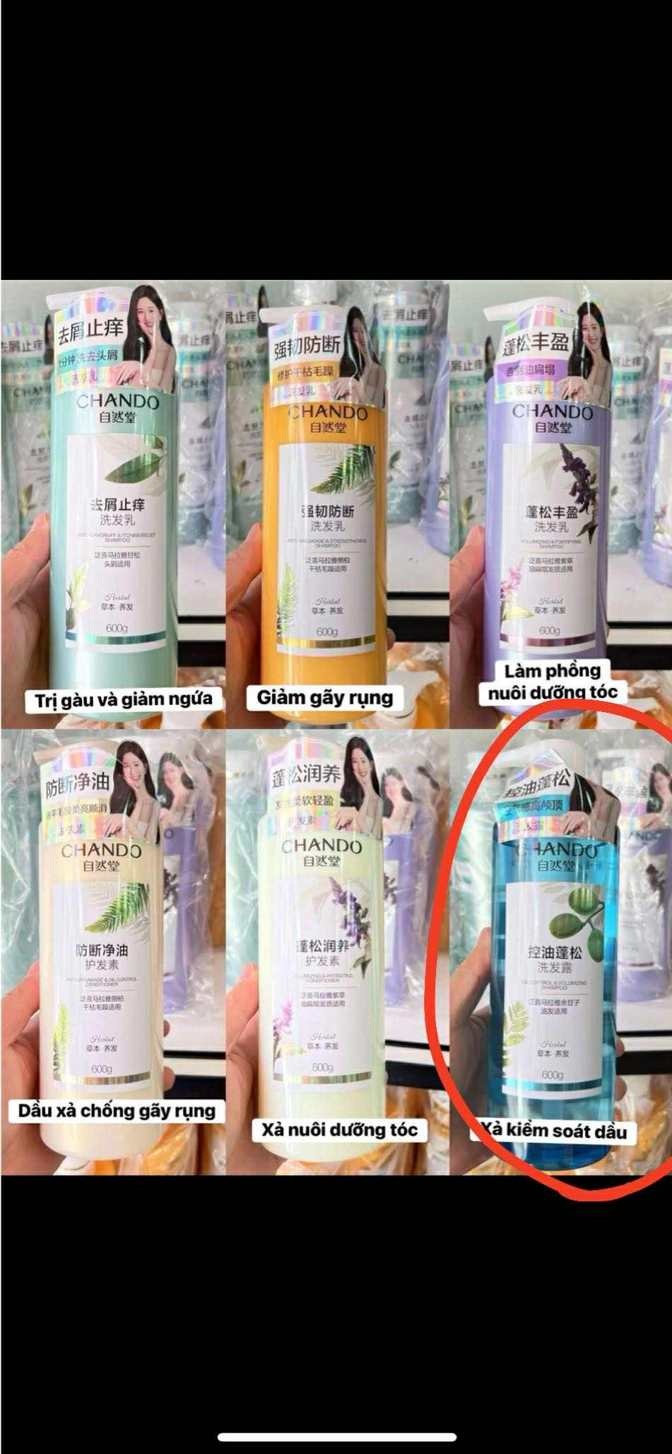 Dầu gội xả chando